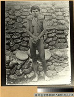 藏品(雅美族 (達悟族) 男子)的圖片